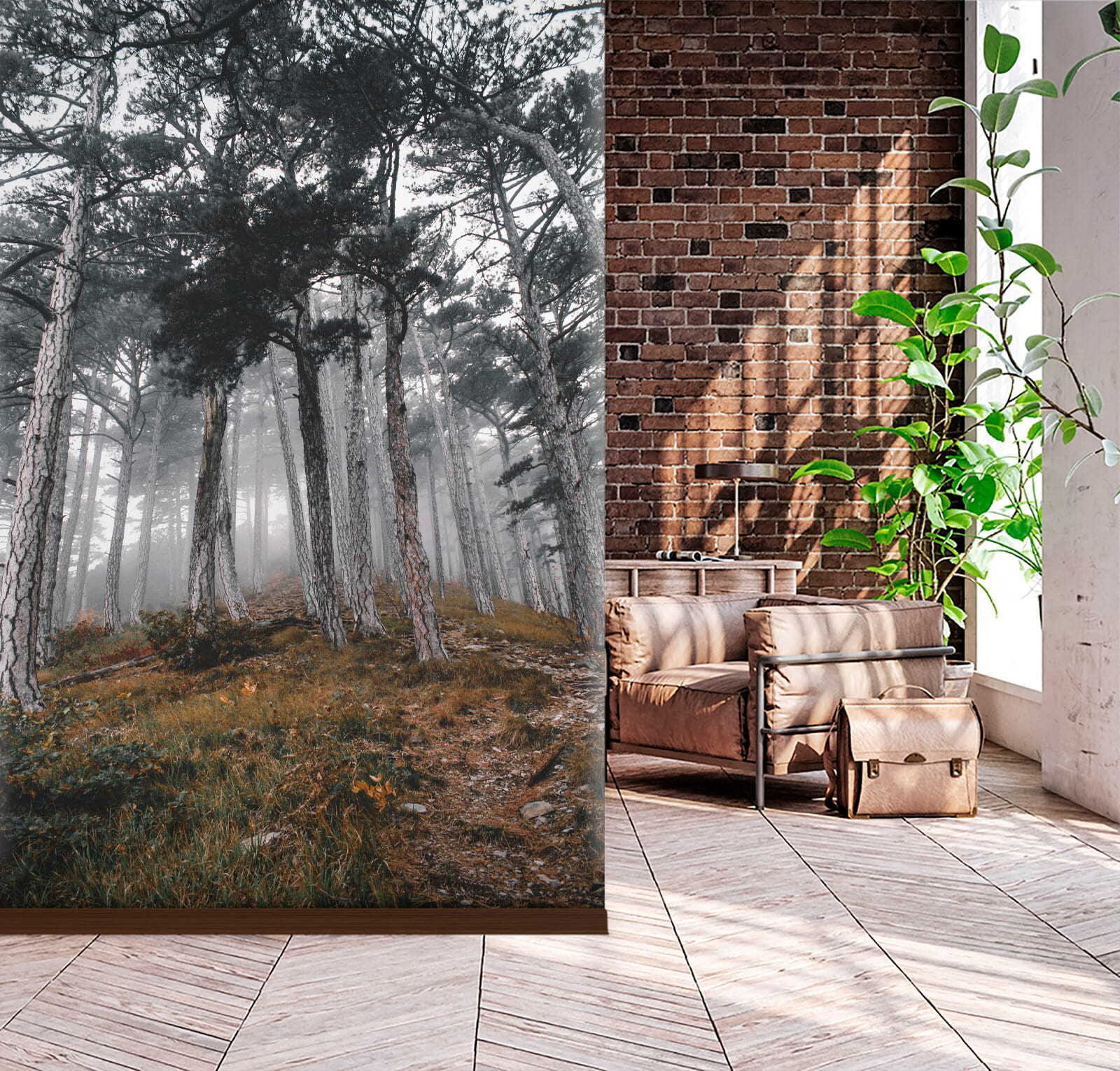 u12556pih3m.jpg Papier peint – Chemin dans une forêt de pins – Image 1