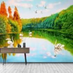 Papier peint – Lac d’automne et cygnes blancs