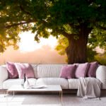 Papier peint – Grand arbre vert au coucher du soleil