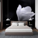Papier peint – Tulipe blanche sur fond noir