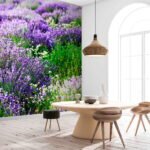 Papier peint – Champ de fleurs violettes