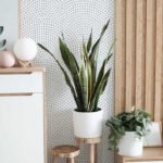 Papier peint – Texture blanche fine effet tissé