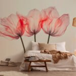 Papier peint – Trois tulipes corail en transparence