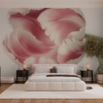 Papier peint – Tulipe rose en gros plan